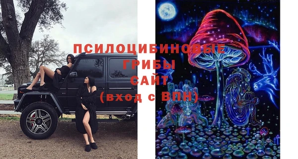 ешки Алексеевка