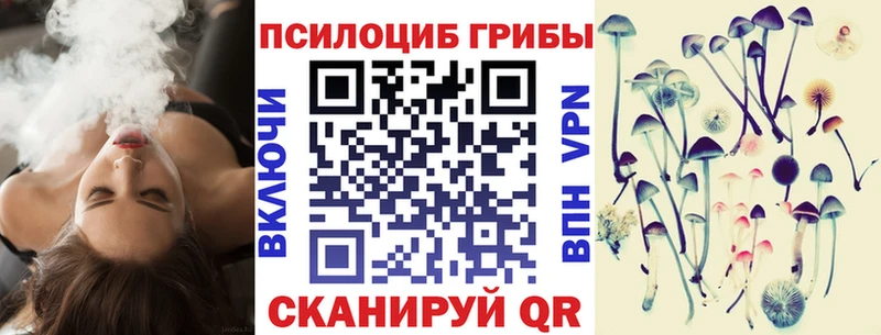 купить закладку  Кемь  hydra маркетплейс  Галлюциногенные грибы GOLDEN TEACHER 
